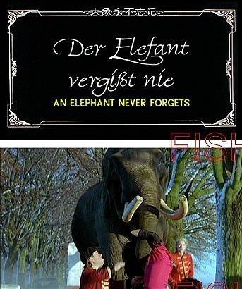  ELEPHANTS NEVER FORGET