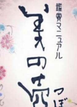 美之壶 日式汤汁