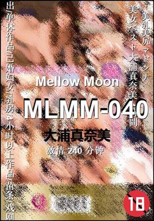 MLMM-040