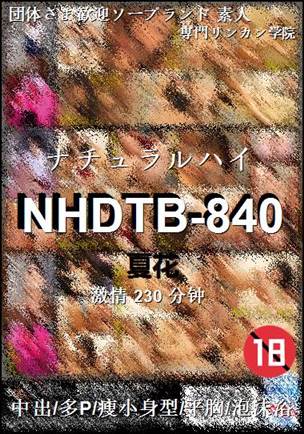 NHDTB-840