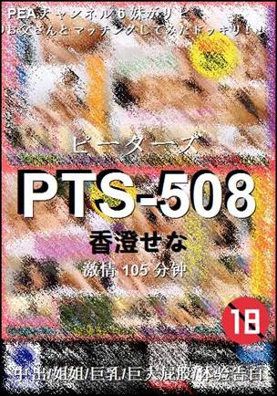 PTS-508
