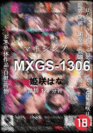 MXGS-1306