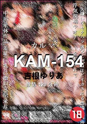 KAM-154