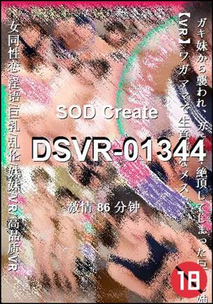 DSVR-01344