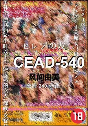 CEAD-540
