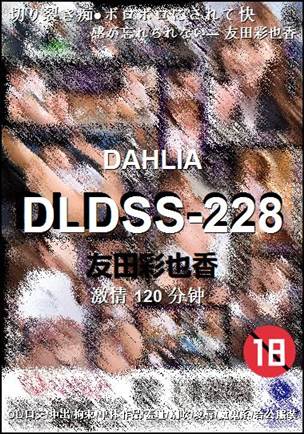 DLDSS-228