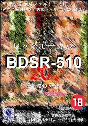 BDSR-510