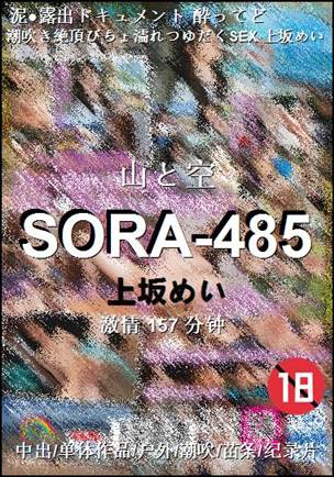 SORA-485