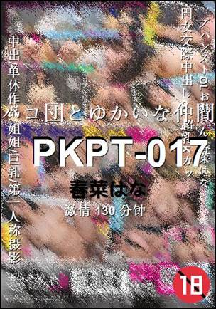 PKPT-017