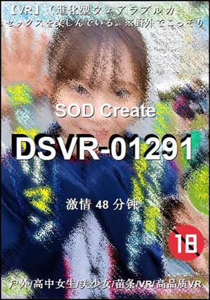 DSVR-01291