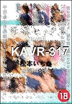 KAVR-317