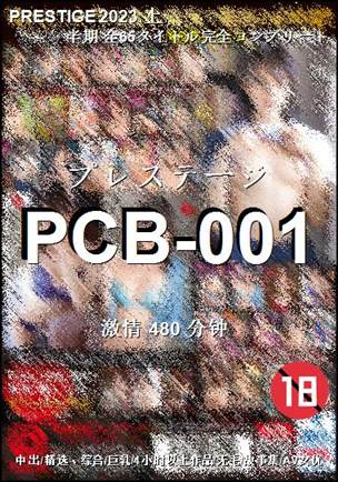 PCB-001