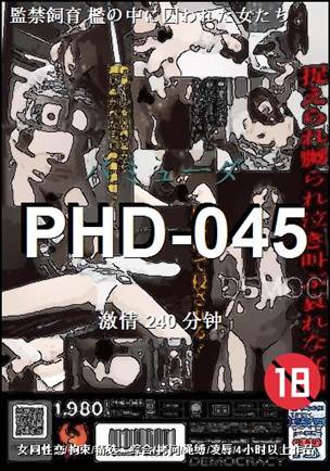 PHD-045