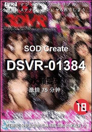 DSVR-01384