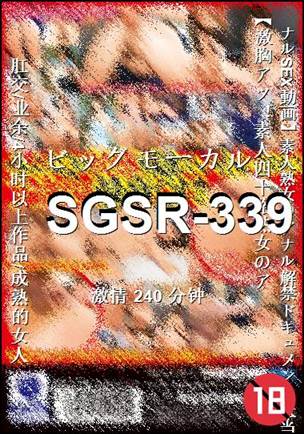 SGSR-339