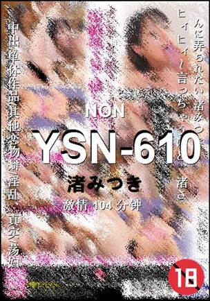YSN-610