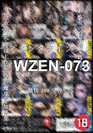 WZEN-073