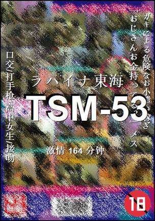 TSM-53