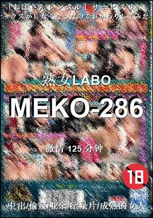 MEKO-286