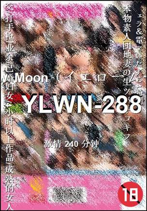 YLWN-288