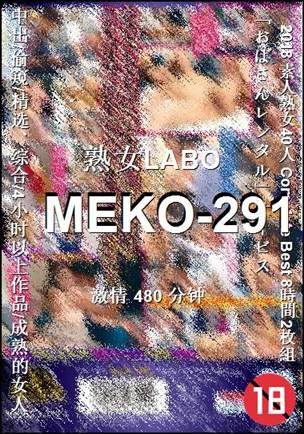MEKO-291