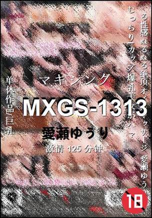 MXGS-1313