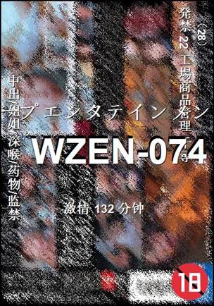 WZEN-074