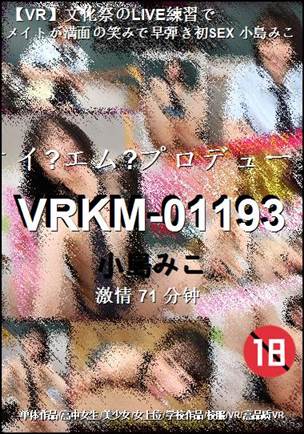 VRKM-01193