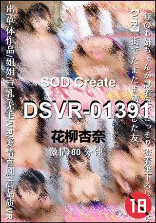 番号DSVR-01391种子
