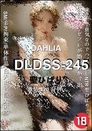 番号DLDSS-245种子