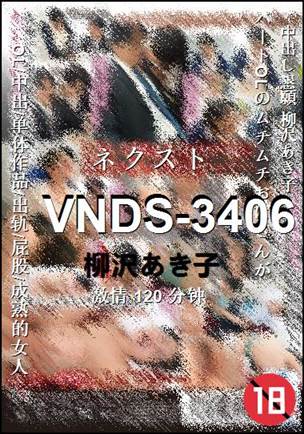 VNDS-3406