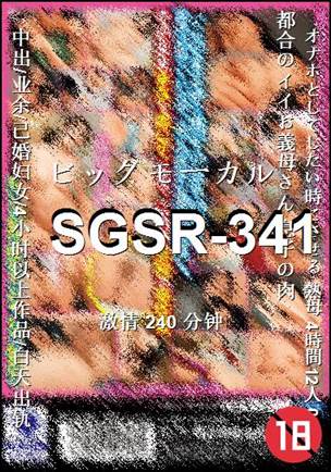 SGSR-341