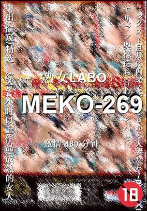 MEKO-269