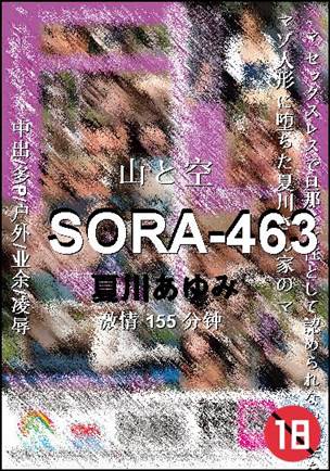 SORA-463