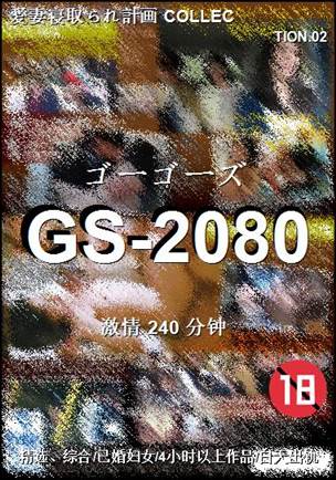 GS-2080
