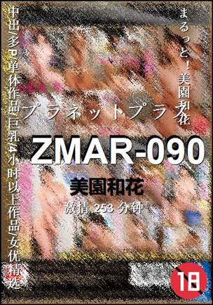 ZMAR-090