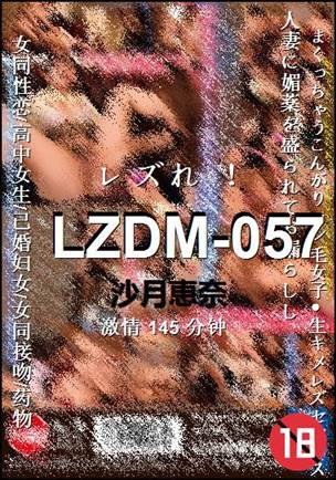 LZDM-057