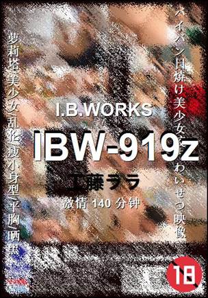 IBW-919z