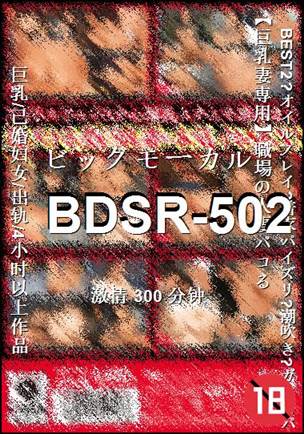 BDSR-502