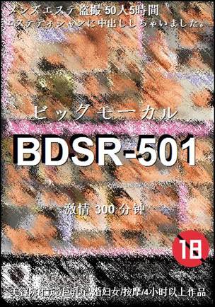 BDSR-501