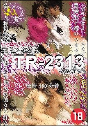 TR-2313