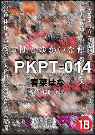 PKPT-014