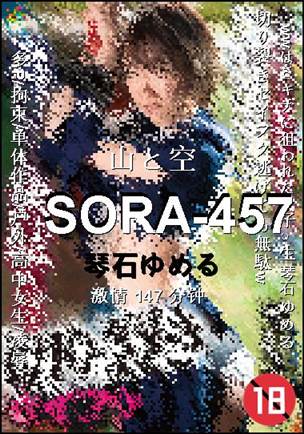 番号SORA-457种子