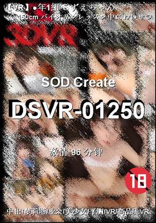 DSVR-01250