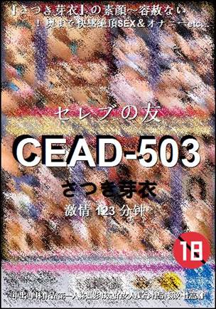 CEAD-503