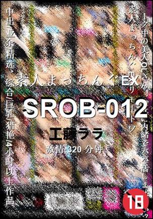 SROB-012