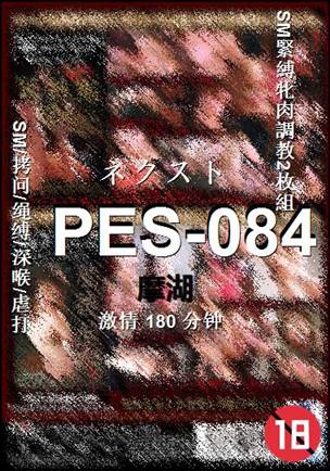 PES-084