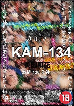 KAM-134