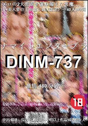 DINM-737