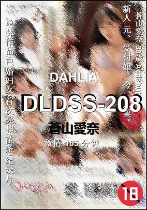 DLDSS-208